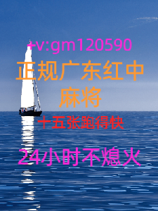 正规广东24小时在线一元**