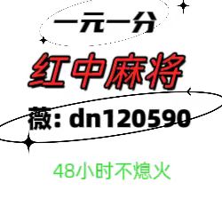 热门综艺24小时一元一分红中**群@最新官方正版