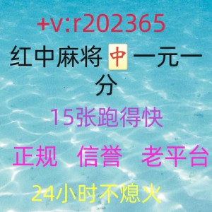 正规24小时正规红中**@正版手机版下载