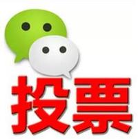 找到真实微信投票人工刷票群0.15一票