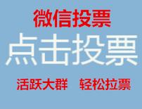 微信投票互助业余群及互相帮忙投票的微信群