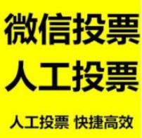 免费加入专门拉票微信群和互相投票的微信群