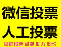 微信群投票免费互投群万人专门投票的微信群