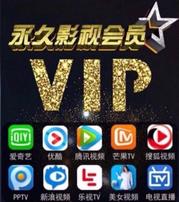 全网viP影视建站创业群